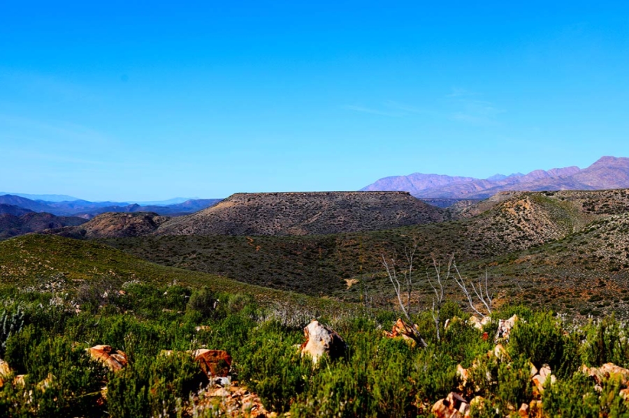 7 Bedroom Property for Sale in De Rust Western Cape